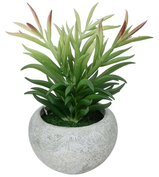 Τεχνητό Φυτό Σε Κασπώ Crassula 21038 Φ10x17cm Grey-Green GloboStar