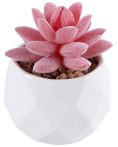 Τεχνητό Φυτό Σε Κασπώ Sedeveria 20981 Φ6x8cm Pink-White GloboStar