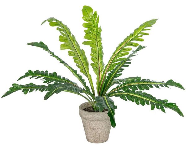 Τεχνητό Φυτό Σε Κασπώ Asplenium 20904 Φ40x33cm Grey-Green GloboStar