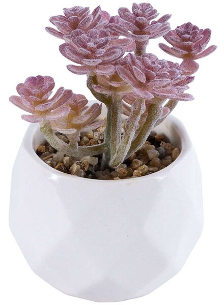 Τεχνητό Φυτό Σε Κασπώ Sedum 20988 Φ9,5x10cm Champagne-White GloboStar