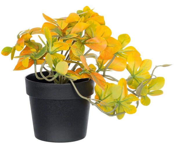 Τεχνητό Φυτό Schefflera 20955 Φ20x18cm Green-Yellow GloboStar