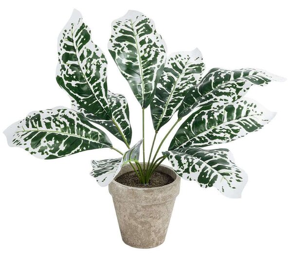 Τεχνητό Φυτό Σε Κασπώ Aglaonema 20903 Φ40x33cm Multi-White GloboStar