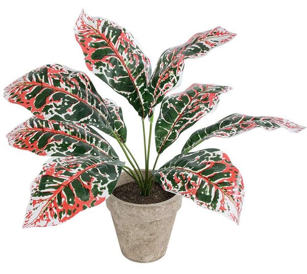 Τεχνητό Φυτό Σε Κασπώ Aglaonema 20901 Φ40x33cm Multi GloboStar