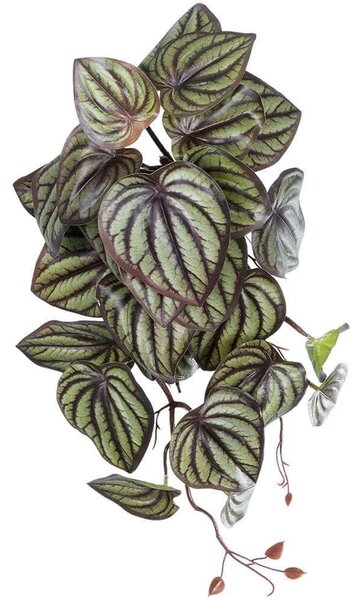 Τεχνητό Κρεμαστό Φυτό Peperomia 20602 45cm Brown-Green GloboStar