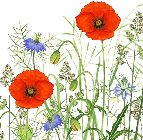 Χαρτοπετσέτα Poppy Field (Σετ 20Τμχ) 1334399 33x33cm Multi Paperproducts Design