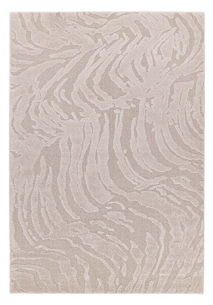Χαλί (160x230) Royal Carpet Cocoon 59615/055
