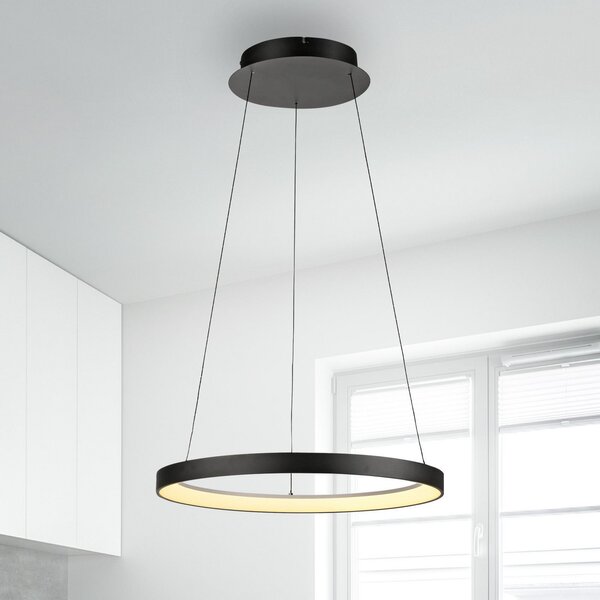 Paul Neuhaus LED κρεμαστό φωτιστικό Hoop, μαύρο, Ø 57 cm, ρυθμιζόμενο φωτισμό, ρυθμιζόμενος, Μαύρο, Σαλόνι / τραπεζαρία, Αλουμίνιο, σύγχρονο
