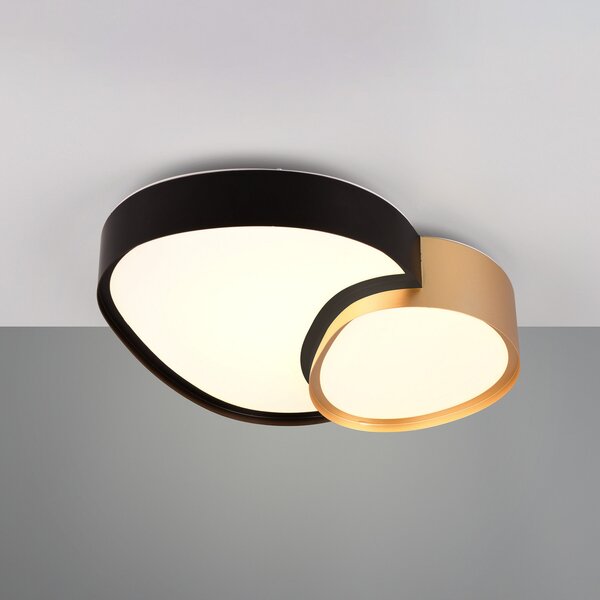 Trio Lighting Φωτιστικό οροφής LED Rise, μαύρο-χρυσό, 43 x 36 cm, CCT, dimmable, ρυθμιζόμενος, Μαύρο, Σαλόνι / τραπεζαρία, Μέταλλο, σύγχρονο