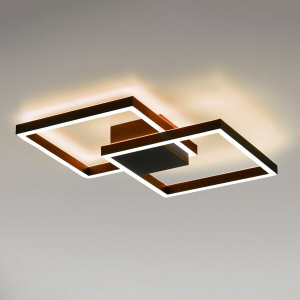 Q-Smart-Home Paul Neuhaus Q-MARKO LED φωτιστικό οροφής, 2fl, γωνιακό, ρυθμιζόμενος, Μαύρο, Σαλόνι / τραπεζαρία, Μέταλλο, σύγχρονο