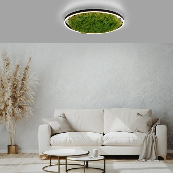 JUST LIGHT. GmbH LED φωτιστικό οροφής Green Ritus, βρύα dimmable Ø58.5cm, ρυθμιζόμενος, Πράσινο, Σαλόνι / τραπεζαρία, σύγχρονο