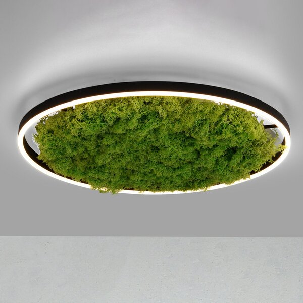 JUST LIGHT. GmbH LED φωτιστικό οροφής Green Ritus, βρύα dimmable Ø58.5cm, ρυθμιζόμενος, Πράσινο, Σαλόνι / τραπεζαρία, σύγχρονο