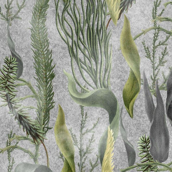 Ταπετσαρία Aquatic Plants WP20718 Multi-Grey MindTheGap