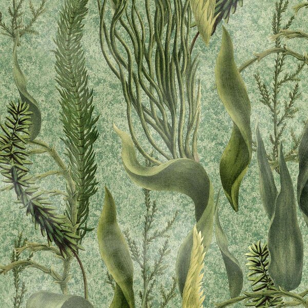 Ταπετσαρία Aquatic Plants WP20717 Multi-Green MindTheGap