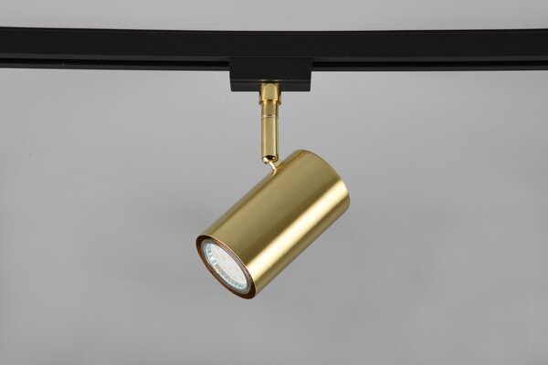 Φωτιστικό Σποτ Trio Lighting DUOLINE 78240108 Ορειχαλκωμένο Ματ (Brass Mat)