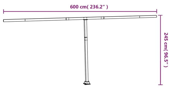 Στύλοι Τέντας Σετ Ανθρακί 600 x 245 εκ. από Σίδερο