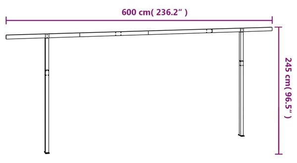 Στύλοι Τέντας Σετ Ανθρακί 600 x 245 εκ. από Σίδερο
