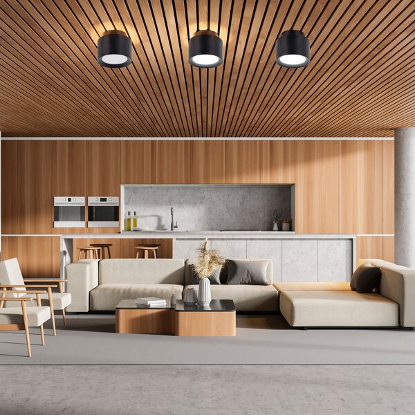 Näve LED σποτ οροφής Trimes, Ø 14 cm, μαύρο, CCT, step-dim, ρυθμιζόμενος, Μαύρο, Σαλόνι / τραπεζαρία, Πλαστικό
