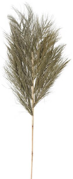 Διακοσμητικό κλαδί Κhajur Shikha - 150cm