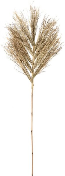 Διακοσμητικό κλαδί Star grass - 150cm