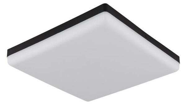 Globo 12388-24 - Φωτιστικό οροφής LED MATTHEW LED/18W/230V