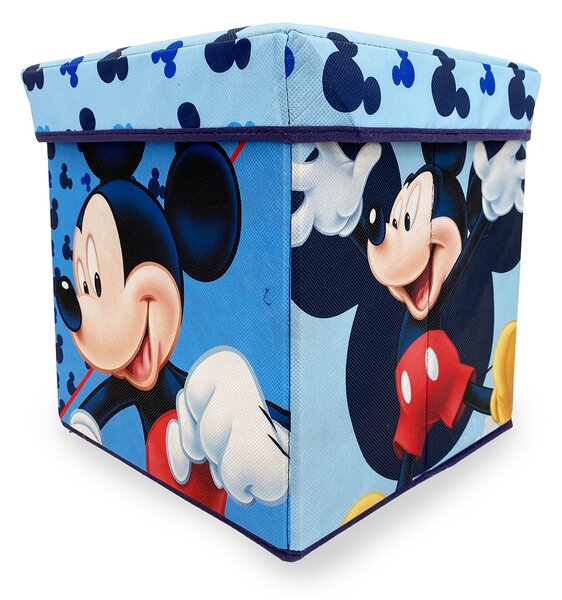 Σκαμπό Με Αποθηκευτικό Χώρο (30X30) Dimcol Mickey 14