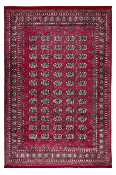 Χαλί Διαδρόμου (80x150) Βιοκαρπέτ Nomadian 104/MVH