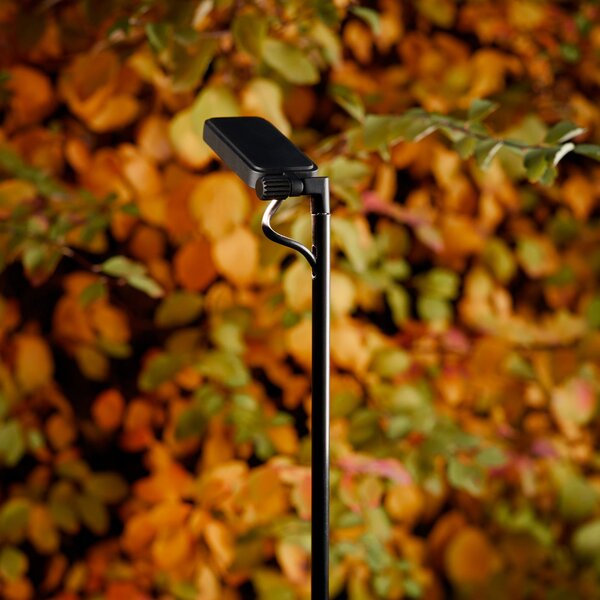 Luceplan LED φως διαδρόμου Flia, ύψος 120cm, μαύρο, πλαστικό, Μαύρο, Πλαστικό, σχεδιασμός