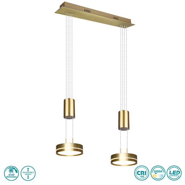 Φωτιστικό Κρεμαστό Trio Lighting Franklin 326510208 Χρυσό Ματ