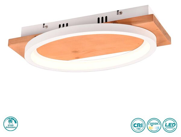 Απλίκα Trio Lighting Barca 241110131 Λευκή Ματ