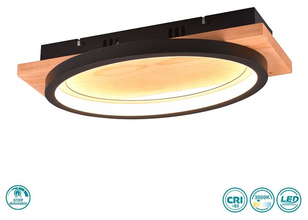 Απλίκα Trio Lighting Barca 241110132 Μαύρη Ματ