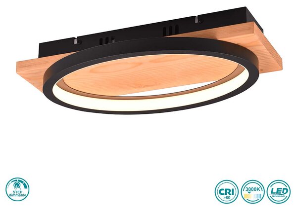 Απλίκα Trio Lighting Barca 241110132 Μαύρη Ματ