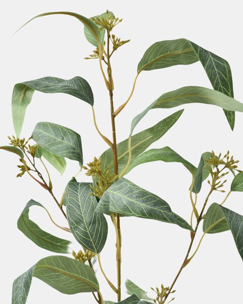Sinsay - Διακοσμητικό ψεύτικο φυτό - καφετι πρασινο