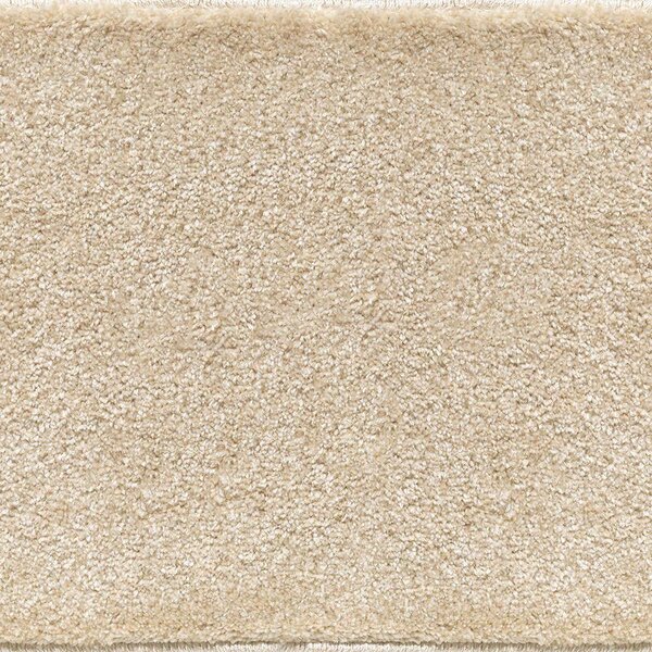 Μοκέτα Prestige Bone Ns Carpets