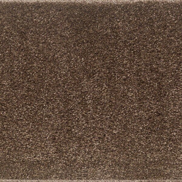 Μοκέτα Prestige Dark Beige Ns Carpets