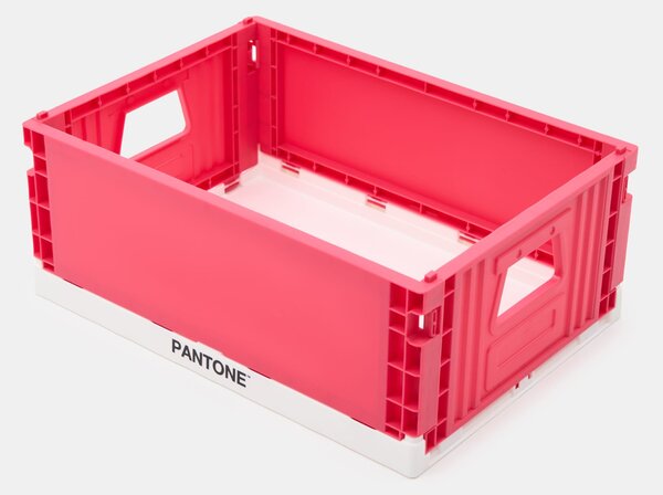 Sinsay - Πτυσσόμενο κουτί αποθήκευσης Pantone - φουξια