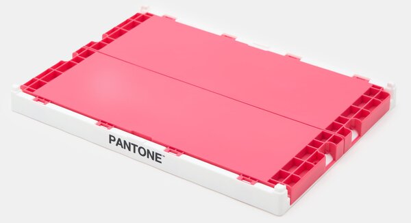 Sinsay - Πτυσσόμενο κουτί αποθήκευσης Pantone - φουξια