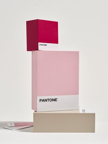Sinsay - Κουτί αποθήκευσης Pantone - ροζ