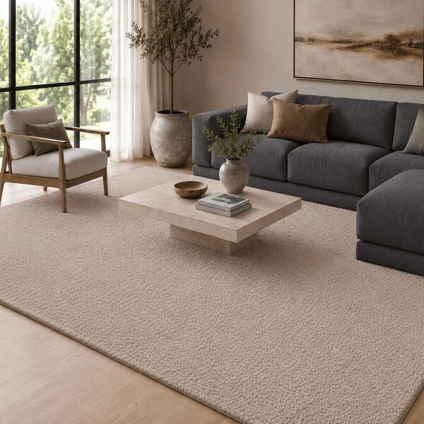Χαλί (200x290) Polcarpet Puffy Shaggy 1001 Brown