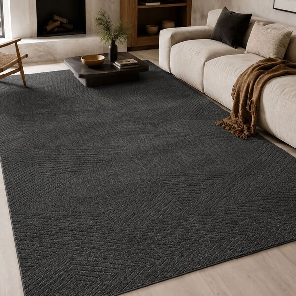 Χαλί (160x230) Pierre Cardin Amelia Anthracite