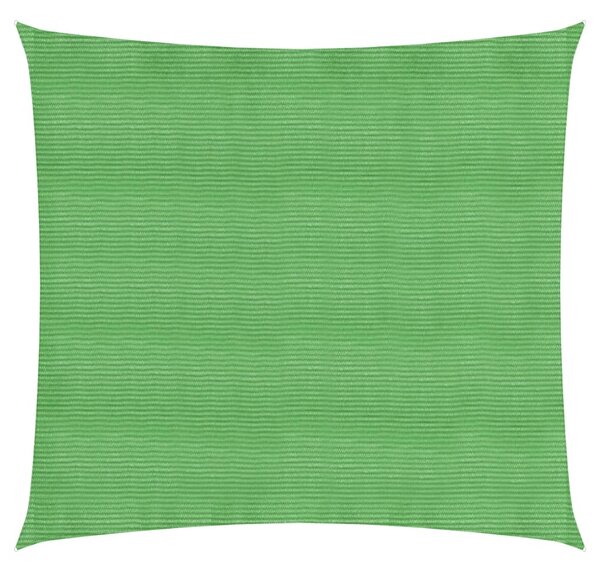 311272 vidaXL Sunshade Sail 160 g/m² Light Green 2x2 m HDPE