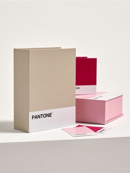 Sinsay - Κουτί αποθήκευσης Pantone - μπεζ