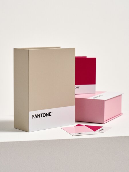 Sinsay - Κουτί αποθήκευσης Pantone - μπεζ