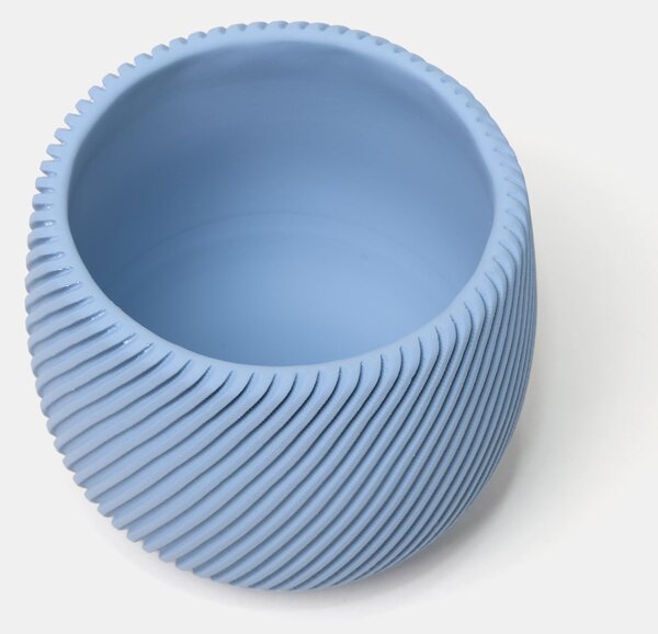 Sinsay - Γλάστρα για φυτά - υακινθος