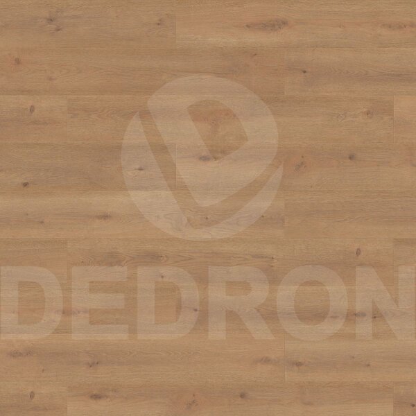 Laminate Finsa PUREFLOOR 8 mm Bern Oak