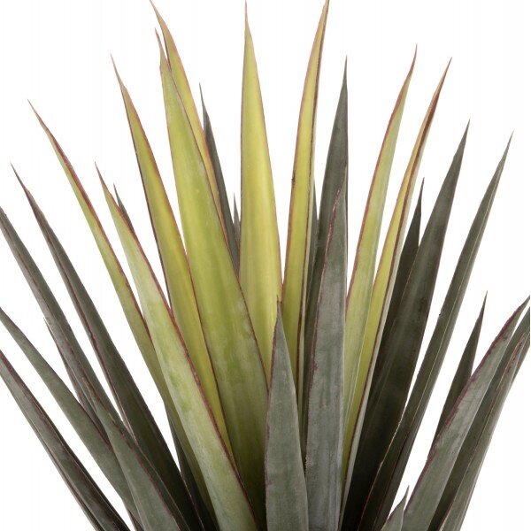 ΔΙΑΚΟΣΜΗΤΙΚΟ ΣΥΝΘΕΤΙΚΟ ΦΥΤΟ HM7986 SISAL AGAVE ΣΕ ΓΛΑΣΤΡΑ Φ15,5x14,5-96Υεκ