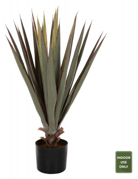 ΔΙΑΚΟΣΜΗΤΙΚΟ ΣΥΝΘΕΤΙΚΟ ΦΥΤΟ HM7985 SISAL AGAVE ΣΕ ΓΛΑΣΤΡΑ Φ13,5x13-76Υεκ