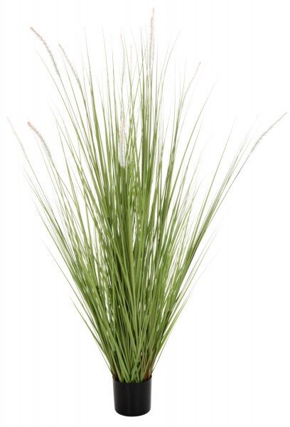 ΔΙΑΚΟΣΜΗΤΙΚΟ ΣΥΝΘΕΤΙΚΟ ΦΥΤΟ HM4017 BRISTLEGRASS ΣΕ ΓΛΑΣΤΡΑ 173Υεκ