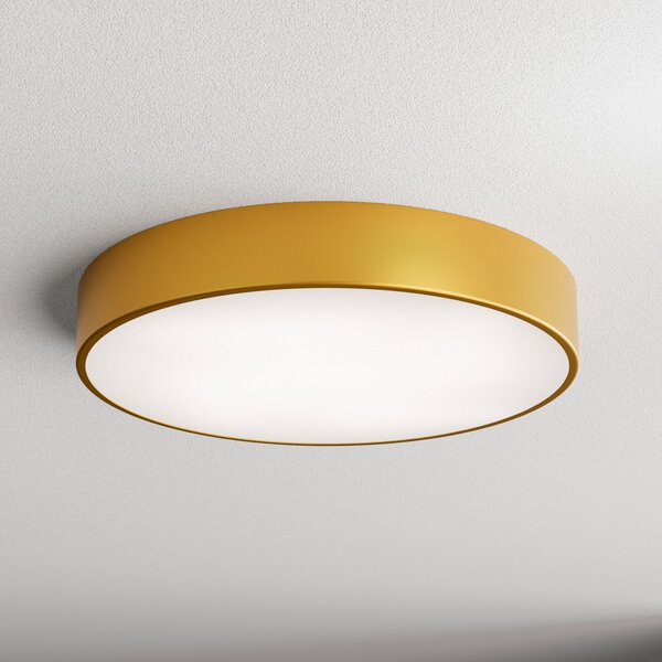 TEMAR LIGHTING Φωτιστικό οροφής Cleo 500, χρυσό, αισθητήρας, IP54, Ø 50 cm, μέταλλο, Χρυσό / Ορείχαλκου, Διάδρομος, Μέταλλο, σύγχρονο