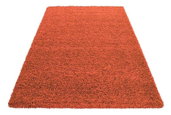Χαλί Διαδρόμου (80x210) Spitishop Lanoso 5500B Terracotta