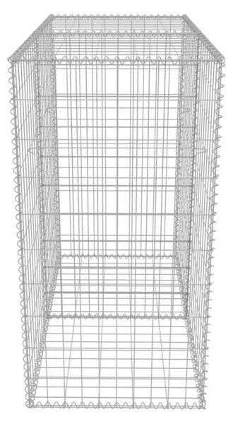 VidaXL Συρματοκιβώτιο 100 x 50 x 100 εκ. από Γαλβανισμένο Χάλυβα